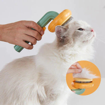 Brosse de nettoyage pour animaux de compagnie